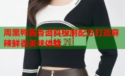 周黑鸭酱香卤料秘制配方打造麻辣鲜香美味体验