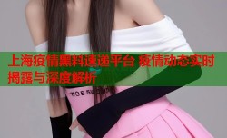 上海疫情黑料速递平台 疫情动态实时揭露与深度解析