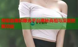 博耶森黑料曝光平台揭秘真相与深度挖掘功能