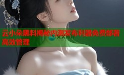 云小朵黑料揭秘内测发布利器免费部署高效管理