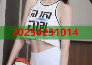 九一黑料官网下载高速稳定一键破解体验