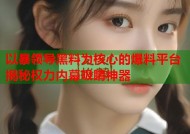 以暴领导黑料为核心的爆料平台揭秘权力内幕吸睛神器