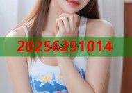 亨斯迈2082黑料高效保温抗压聚氨酯解决方案