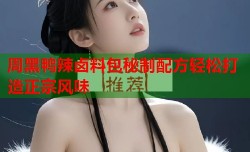 周黑鸭辣卤料包秘制配方轻松打造正宗风味
