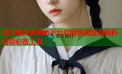 划次黑料表揭秘平台功能快速查询黑料信息必备工具